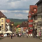 Hotel Baeren 3*