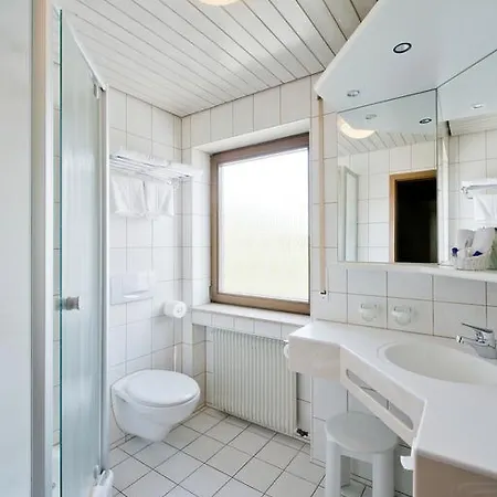 Hotel Baeren 3*