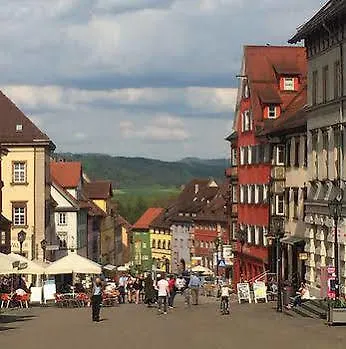 Hotel Baeren 3*
