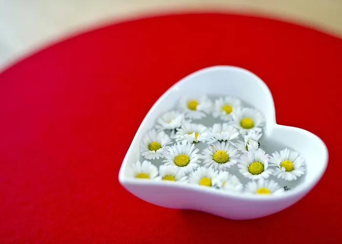 ホテル Baeren ロットヴァイル