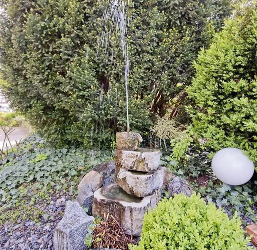 Baeren روتفايل