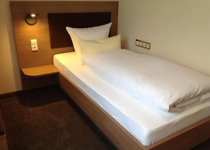 Baeren Hotel 3*